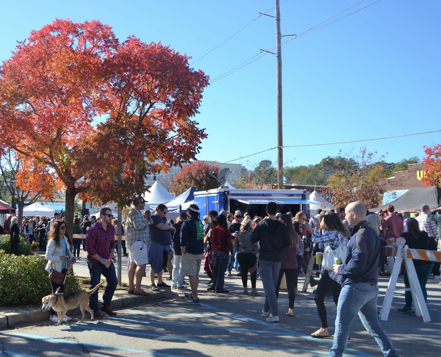 People and pets mingle at the 2018 Five Points Chili Cook-Off. The 32nd annual event is set for Oct. 26. (Photo/Melinda Waldrop)